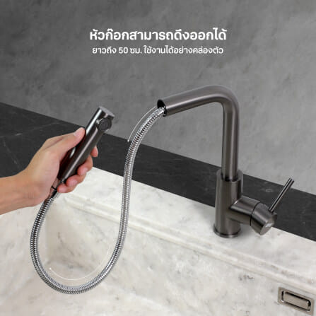 ก๊อกซิงค์สำหรับอ่างล้างจาน EVE LEXI GUNMETAL EP สเตนเลส 30 ซม. สีดำเงา_1